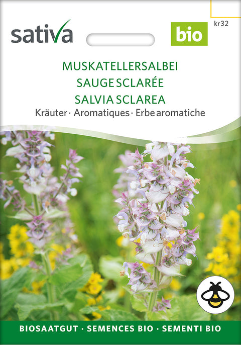 Salvie - Muskatelsalvie (Salvia sclarea) - urtefrø - øko - lægeplantefrø