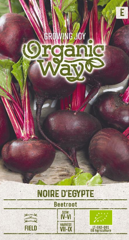 BEDE NOIRE D'EGYPTE (Beta vulgaris L.)