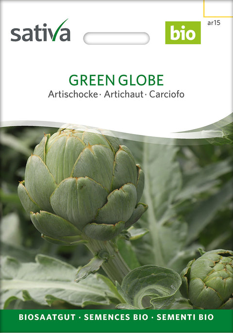 Artiskok 'Green Globe' (Cynara cardunculus) - Økologiske Frø