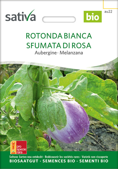 Aubergine - ROTONDA BIANCA SFUMATA DI ROSA (Solanum melongena) - grøntsagsfrø - økofrø - øko