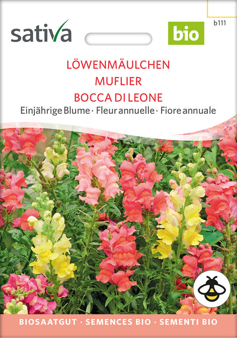 Haveløvemund (Antirrhinum majus) - Økologiske Frø