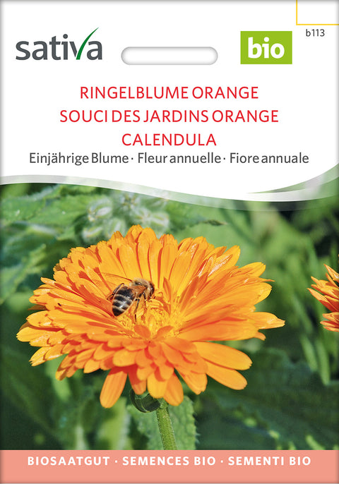 Morgenfrue - ORANGE MARIGOLD (Calendula officinalis) - økofrø - økologiske frø - blomsterfrø