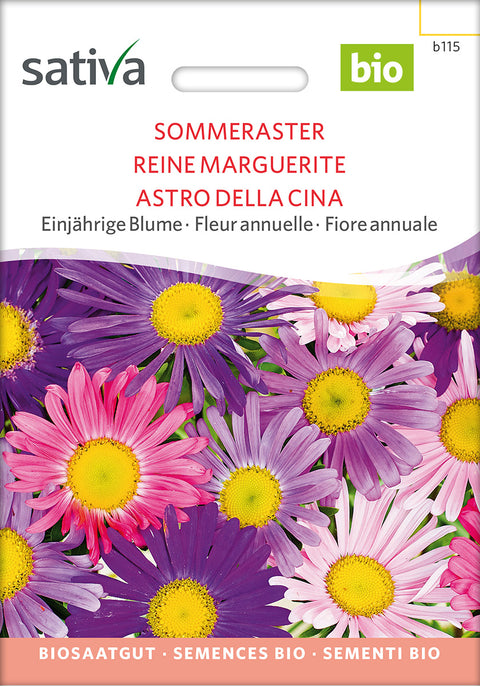 Sommer Aster (Callistephus chinensis) Økologiske frø