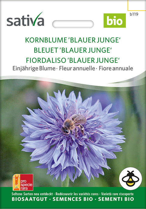 Kornblomst - CORNFLOWER 'BLAUER JUNGE' (Centaurea cyanus) - økofrø - økologiske frø - blomsterfrø - vildeplantefrø 