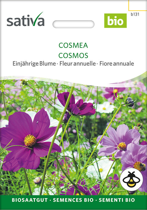 Stolt Kavaler - COSMOS (Cosmos bipinnatus) - økofrø - økologiske frø - blomsterfrø