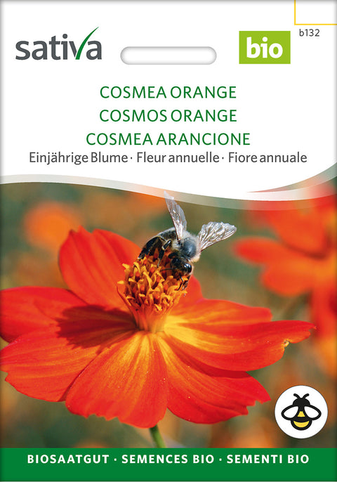 Stolt Kavaler - COSMOS ORANGE (Cosmos sulphureus) - økofrø - økologiske frø - blomsterfrø