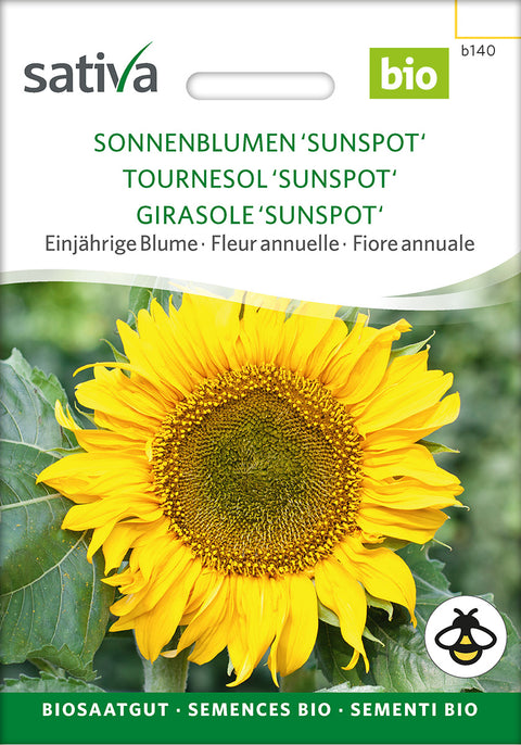 Solsikke 'Sunspot' (Helianthus annuus) - Økologiske Frø