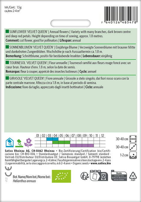 Solsikke - SUNFLOWER 'VELVET QUEEN' (Helianthus annuus) Økologiske frø