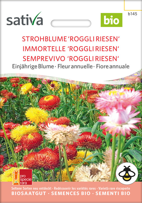 Evighedsblomst - STRAWFLOWER ´ROGGLI RIESEN' (Xerochrysum bracteatum) - økofrø - økologiske frø - blomsterfrø