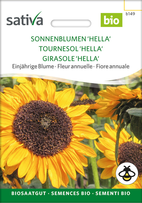 Solsikke - SUNFLOWER 'HELLA' (Helianthus annuus) - økofrø - økologiske frø - blomsterfrø