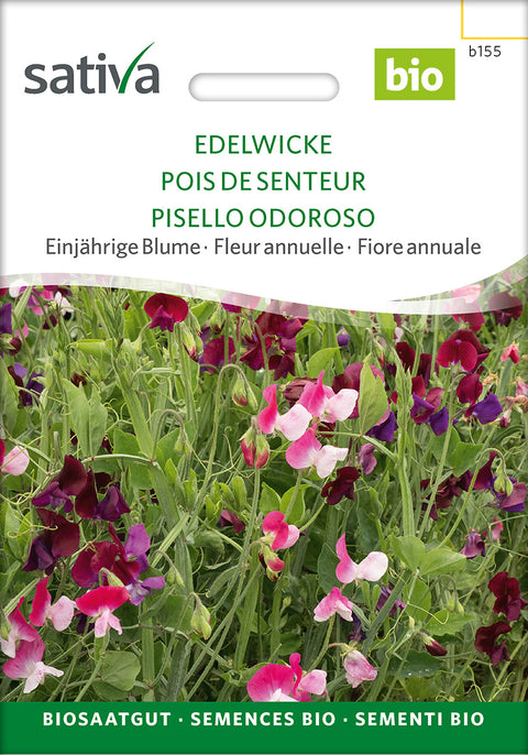 Ærteblomst - SWEET PEA (Lathyrus odoratus) - økofrø - økologiske frø - blomsterfrø