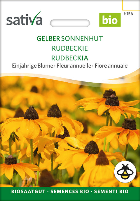 Håret solhat - RUDBECKIA (Rudbeckia hirta) Økologiske frø