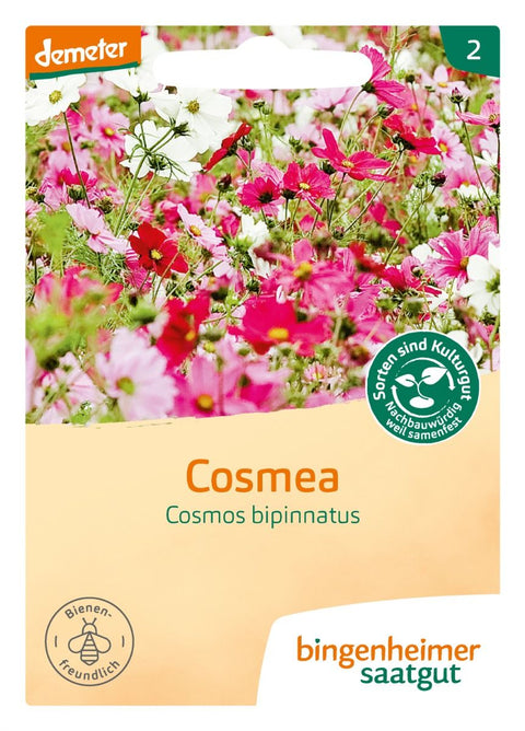 Stolt Kavaler Cosmos Mix (Cosmos bipinnatus) - Økologiske Frø