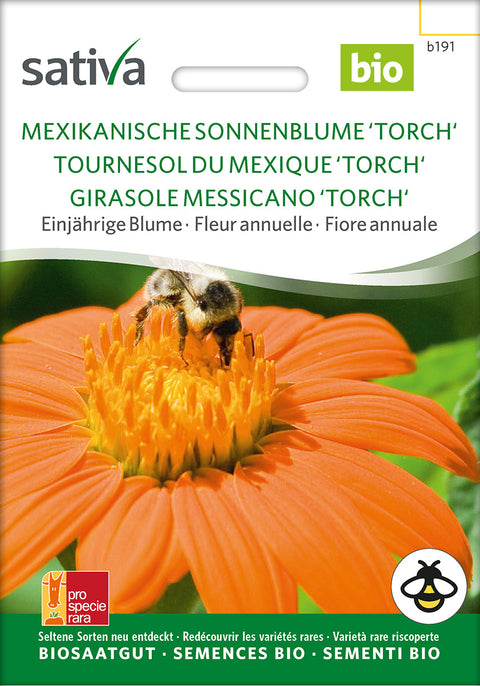 Mexicansk solblomst - MEXICAN SUNFLOWER 'TORCH' (Tithonia rotundifolia) Økologiske frø