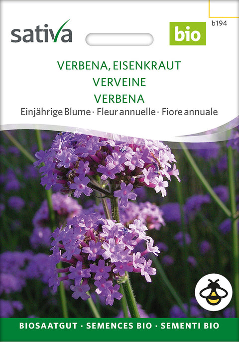 Verbena - VERVAIN (Verbena bonariensis) - økofrø - økologiske frø - grøntsagsfrø