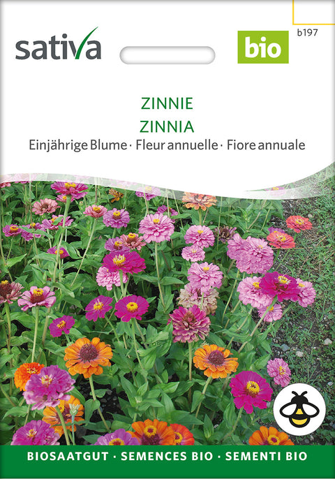 Zinnia - ZINNIA (Zinnia elegans) - økofrø - økologiske frø - blomsterfrø