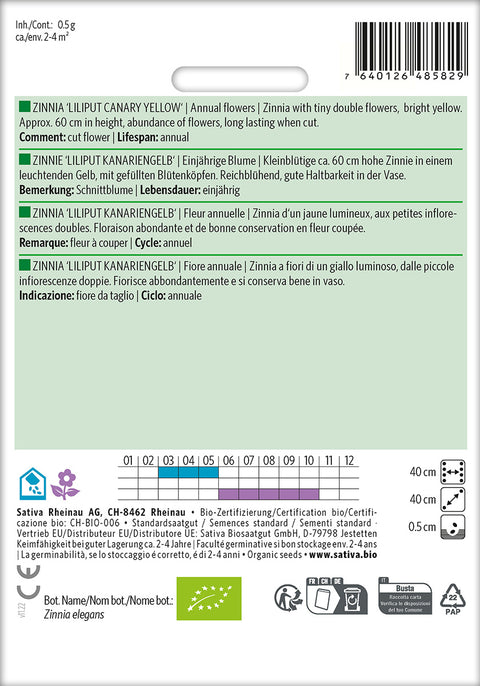 ZINNIA Frøkenhat 'LILIPUT CANARY YELLOW' (Zinnia elegans) Økologiske frø