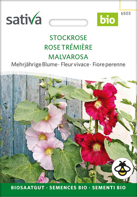 Stokrose - HOLLYHOCK (Althaea rosea) - økofrø - økologiske frø - blomsterfrø