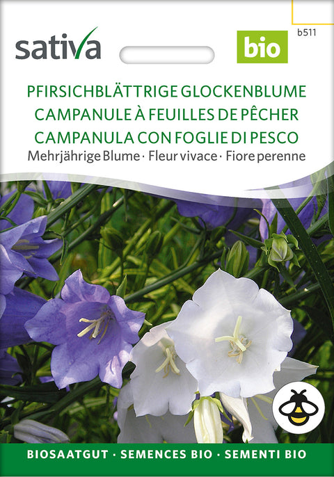 Smalbladet Klokke (Campanula persicifolia)- Økologiske Frø