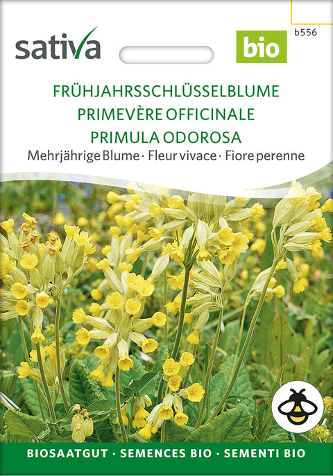 Hulkravet Kodriver - FRAGRANT PRIMROSE (Primula veris) - økofrø - økologiske frø - vilde blomsterfrø - blomsterfrø