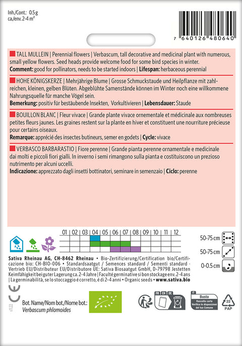 Hjertebladet Kongelys - TALL MULLEIN (Verbascum phlomoides)