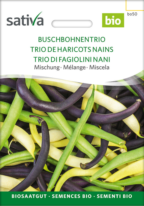 Bønne - TRIO OF BUSH BEANS (Phaseolus vulgaris) - økofrø - økologiske frø - grøntsagsfrø