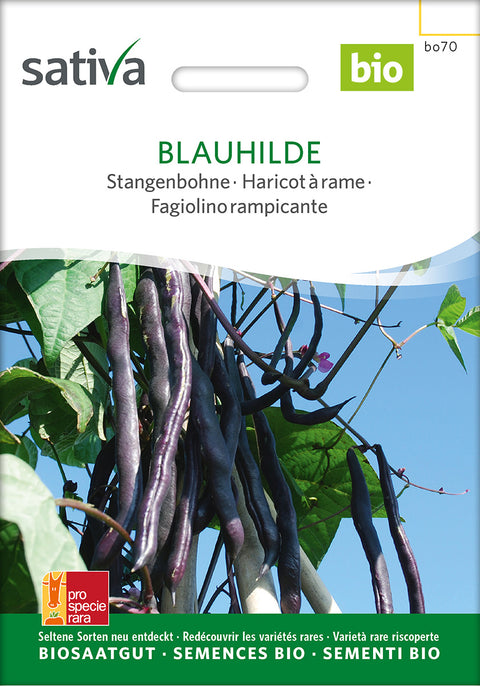 Bønne - BLAUHILDE (Phaseolus vulgaris) Økologiske frø