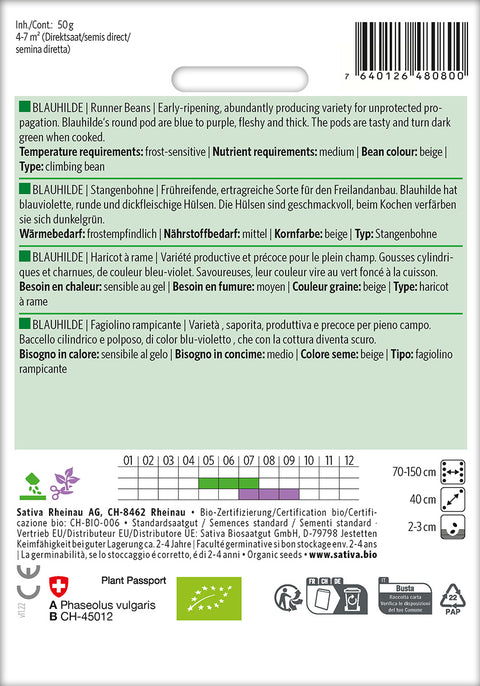 Bønne - BLAUHILDE (Phaseolus vulgaris) Økologiske frø