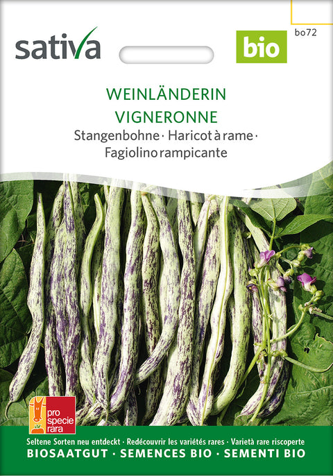 Bønne - WEINLÄNDERIN (Phaseolus vulgaris) - økofrø - økologiske frø - grøntsagsfrø