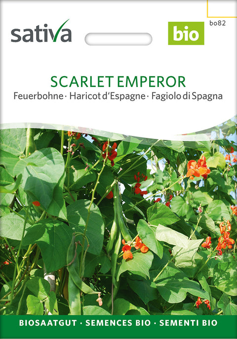 Bønne - SCARLET EMPEROR (Phaseolus coccineus)