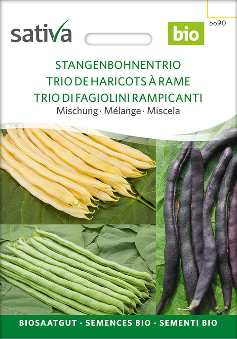 Bønne - TRIO OF RUNNER BEANS (Phaseolus vulgaris) - økofrø - økologiske frø