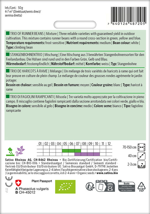 Bønne - TRIO OF RUNNER BEANS (Phaseolus vulgaris) Økologiske frø