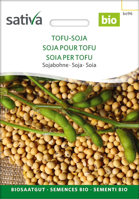 TOFU SOJA BØNNE (Glycine max) - Økologiske frø