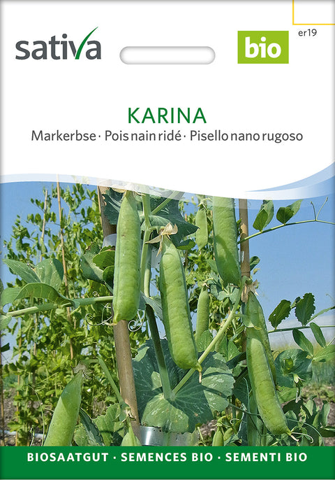 Ært - KARINA (Pisum sativum) - økofrø - økologiske frø - grøntsagsfrø