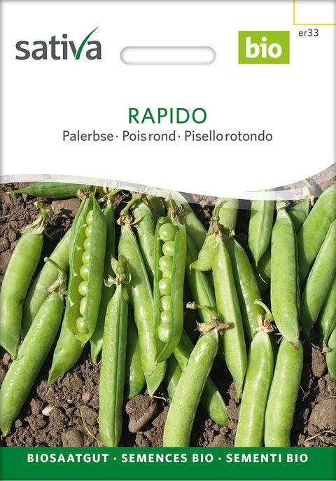 Ært - RAPIDO (Pisum sativum) - økofrø - øologiske frø - grøntsagsfrø