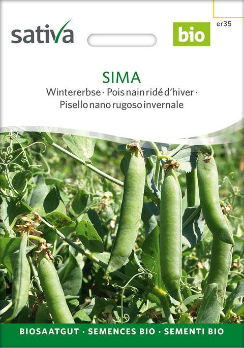 Ært - SIMA (Pisum sativum) - økofrø - grøntsagsfrø - økologiske frø