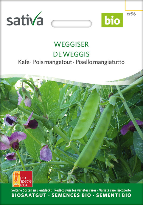 Sukkerært - WEGGISER (Pisum sativum) - økofrø - grøntsagsfrø - økologiske frø