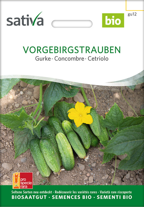 Agurk - VORGEBIRGSTRAUBEN (Cucumis sativus) -økofrø - øklogiske frø - grøntsagsfrø