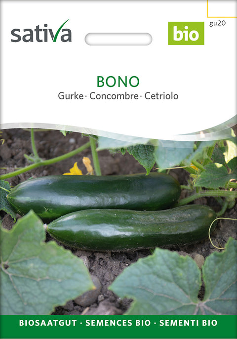 Agurkfrø - BONO (Cucumis sativus) økofrø - agurkfrø - økologiske frø - grøntsagsfrø