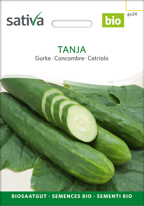 Agurk - TANJA (Cucumis sativus) Økologiske frø