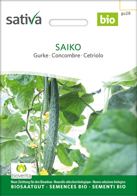 Agurk - SAIKO (Cucumis sativus) - Økologiske frø