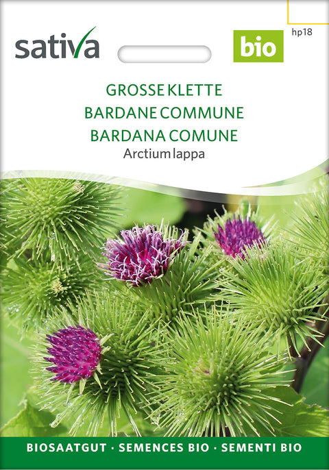 Glat Burre Lægeplante frø - GREATER BURDOCK (Arctium lappa) - økofrø - øko - lægeplantefrø - vildfrø