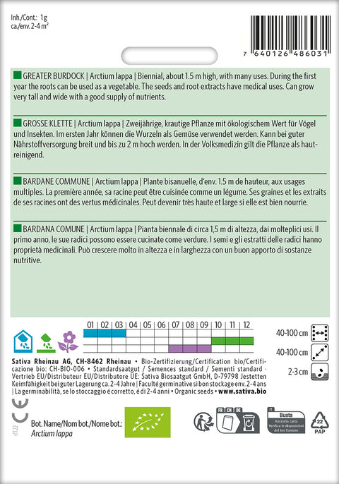 Glat Burre - Lægeplante - GREATER BURDOCK (Arctium lappa) Økologiske frø