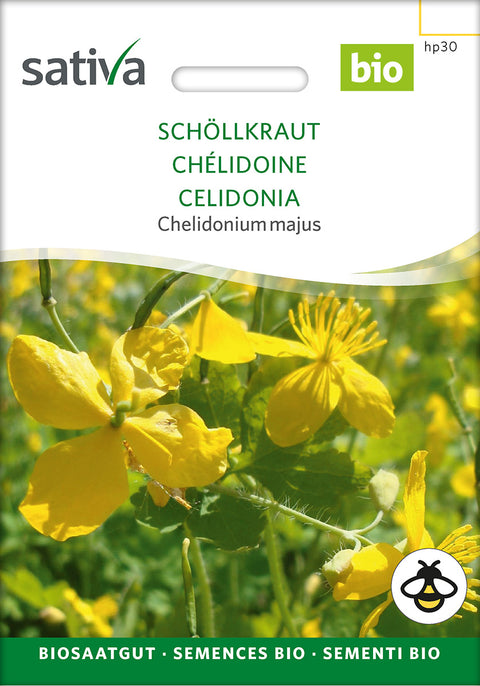 Svaleurt - Lægeplante - GREATER CELANDINE (Chelidonium majus) Økologiske frø