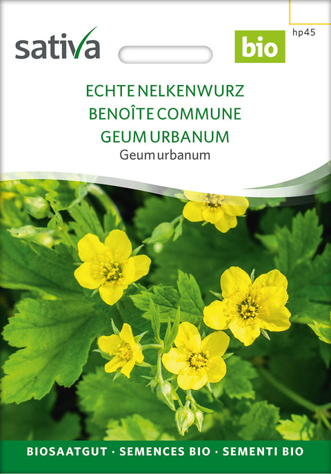 Febernellikerod - Lægeplantefrø - GEUM URBANUM (Geum urbanum)