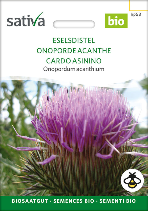 Æselfoder lægeplante frø- COTTON THISTLE (Onopordum acanthium) - økofrø - lægeplantefrø - frø