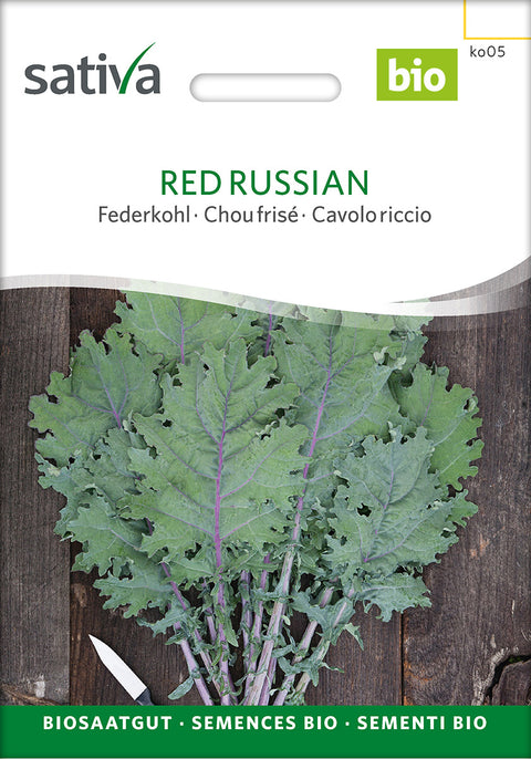 Grønkål - RED RUSSIAN (Brassica oleracea var. sabellica) - grønkålfrø - økofrø - grøntsagsfrø - kålfrø - øko