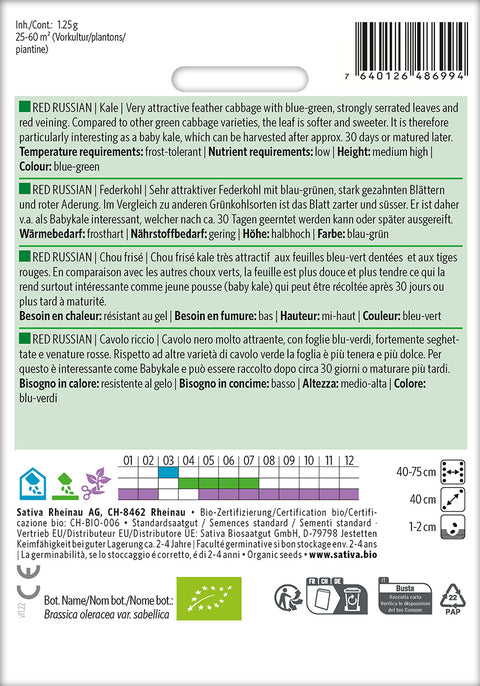 Grønkål - RED RUSSIAN (Brassica oleracea var. sabellica) Økologiske frø