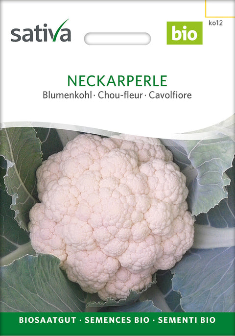 Blomkål - NECKARPERLE (Brassica oleracea var. botrytis) - økofrø -økologiske frø - grøntsagsfrø