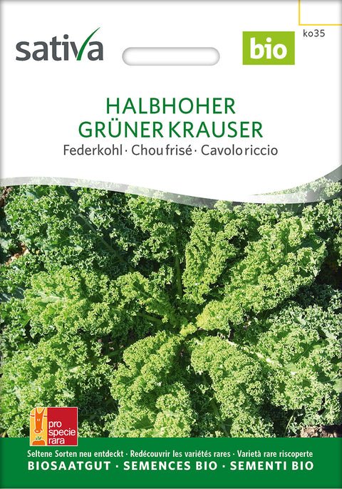 Grønkål - HALBHOHER GRÜNER KRAUSER (Brassica oleracea var. sabellica) - grønkålfrø - grøntsagsfrø - økofrø - øko - kålfrø